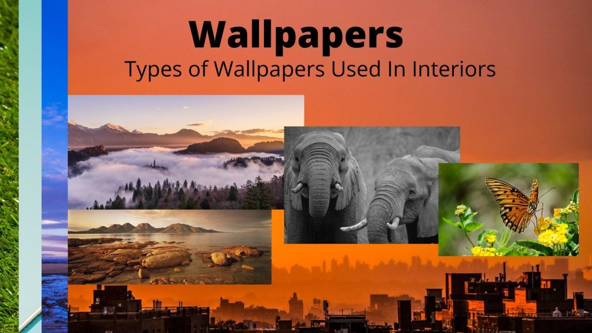 Wallpaper and Types of Wallpaper Used in Interiors