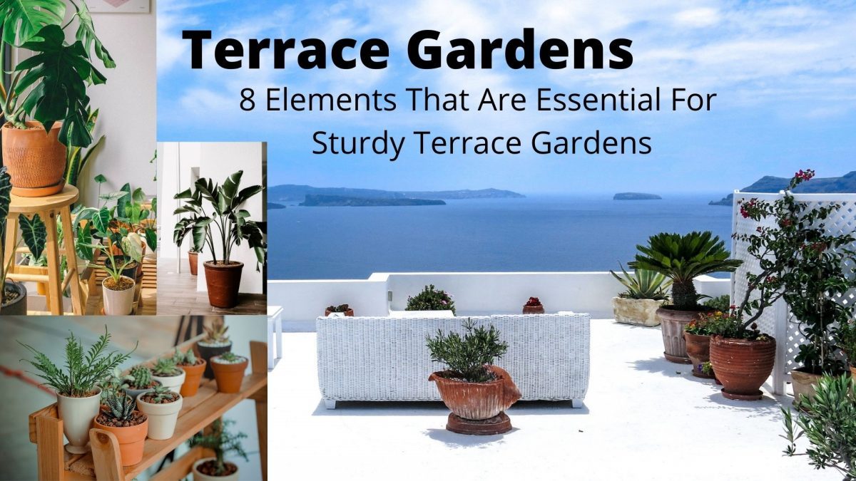 8 Elements That Are Essential For Sturdy Terrace Gardens