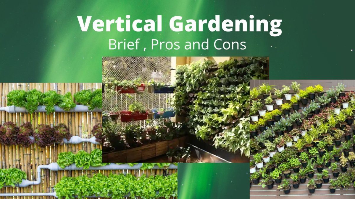 Vertical Gardening – Brief, Pros, and Cons 
