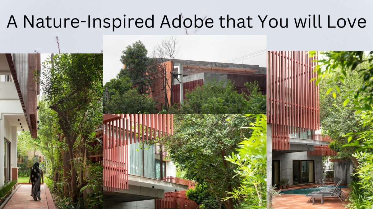 House With 49 Trees, A Nature-Inspired Adobe that You will Love